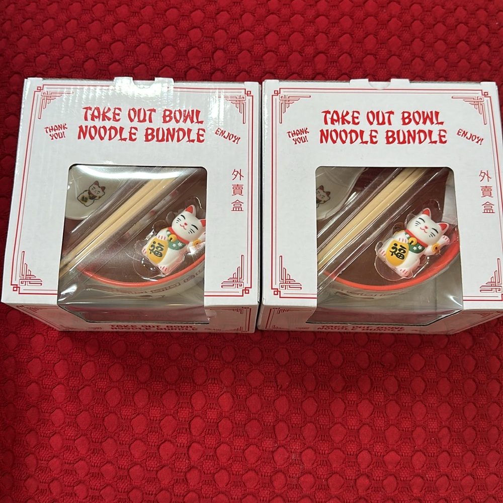 Take out noodle bundle set of two